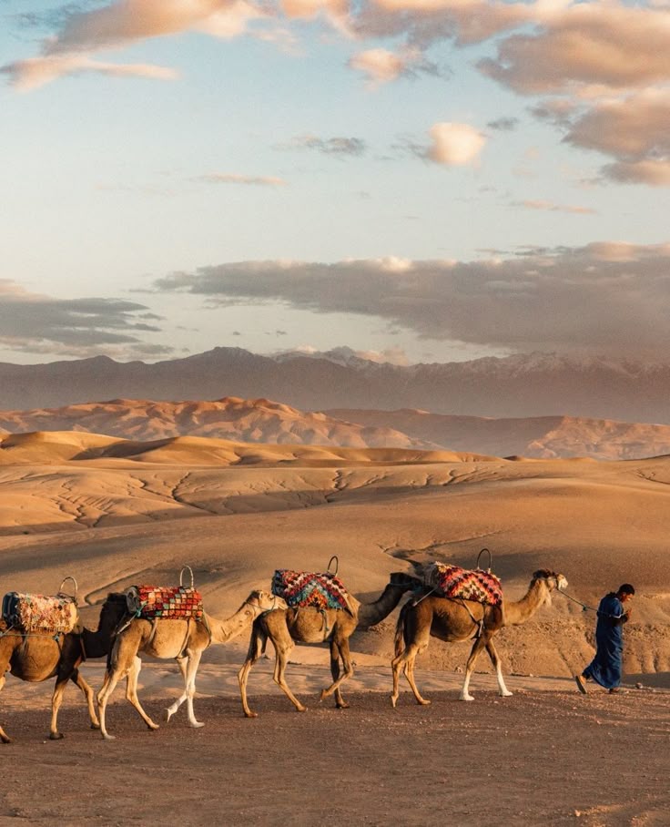 Agafay Desert